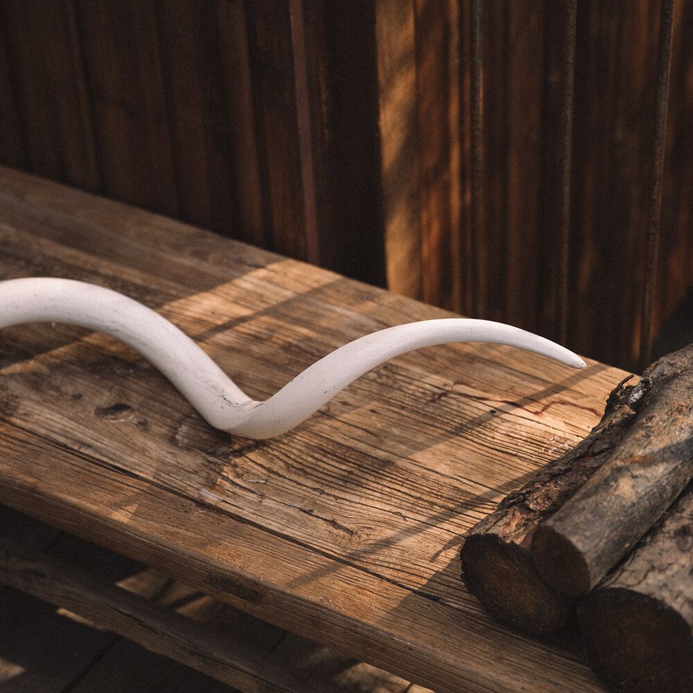 Os interne de corne de koudou