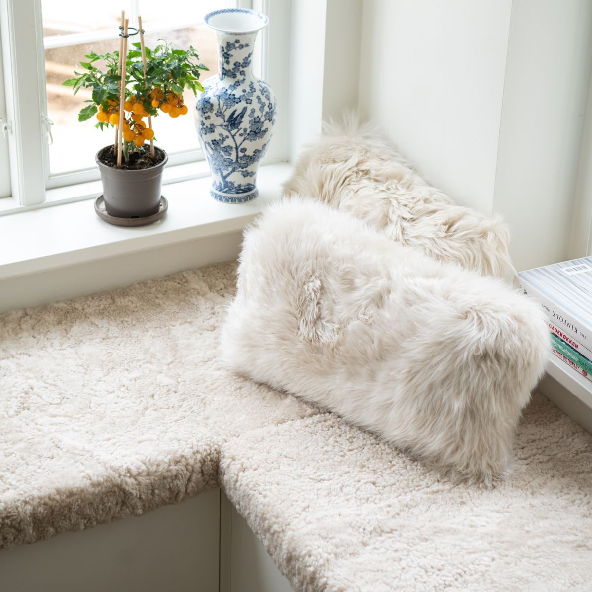 test des grands coussins Noir