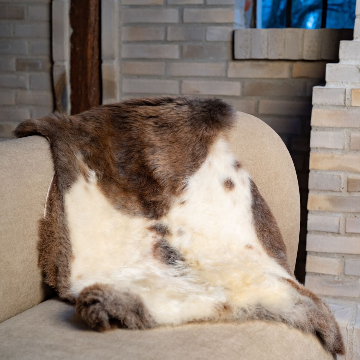 Peau de mouton de l’Himalaya 95 cm Tacheté foncé