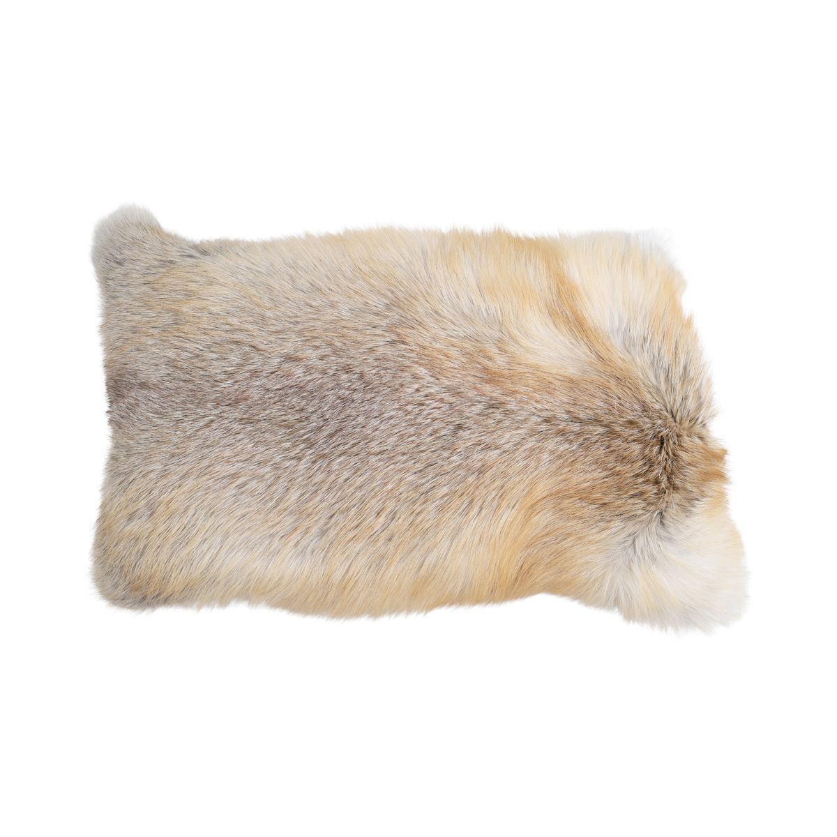 Coussin Premium en Renard | Doublure en Cachemire | Norvège | Renard Doré des Îles | 35x56 cm