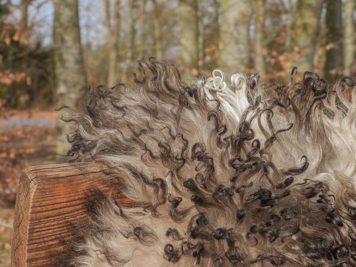 Peau de mouton autrichienne 90cm Beige Gris