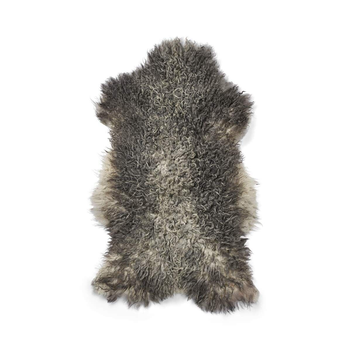 Peau de mouton gotlandaise | Laine courte bouclée 90–100 cm