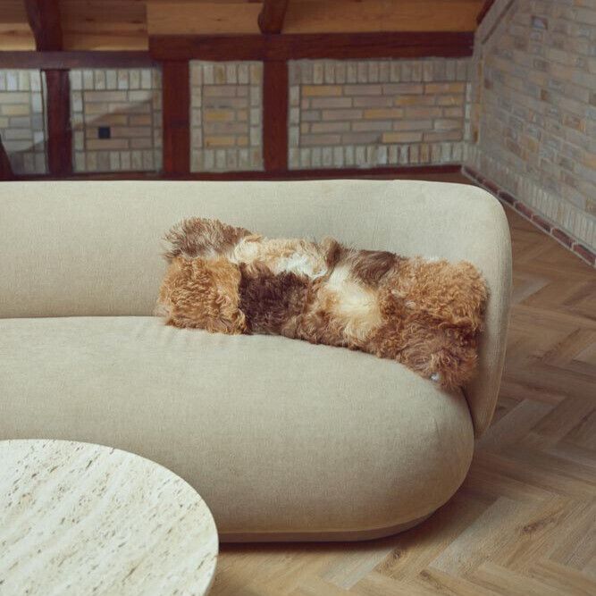 Coussin Tigrado Lamb Noir/Mélange de Blanc