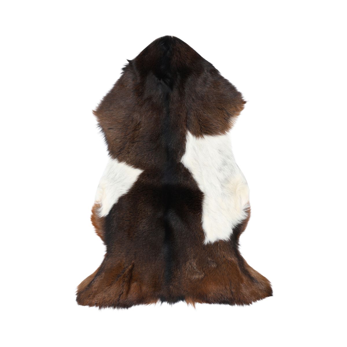 Peau de chèvre premium | Laine courte Marron/Blanc